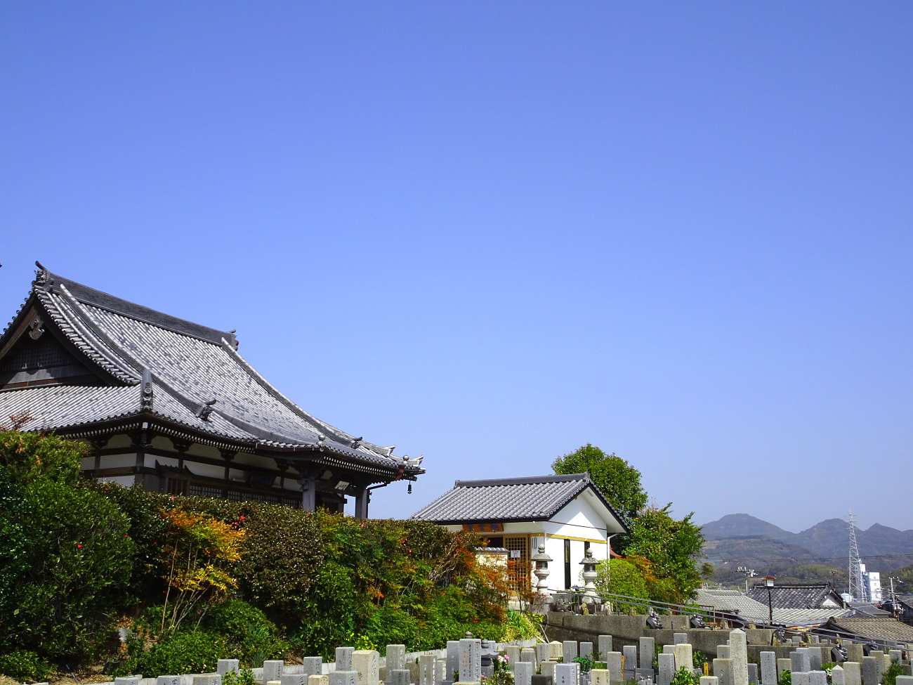 全景の画像