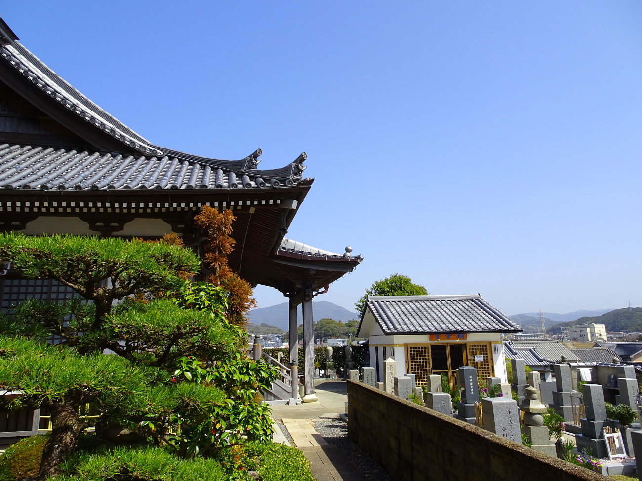 境内風景の画像
